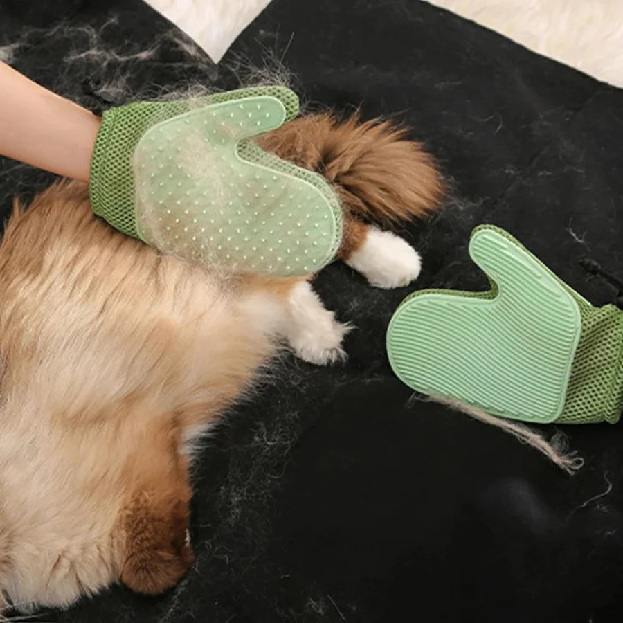 Grooming & Care