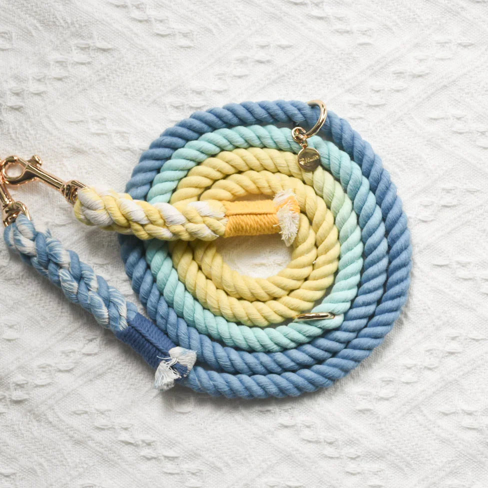 Hands-free dog rope leash detail