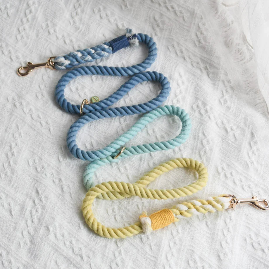 Hands-free dog rope leash in Dawn color