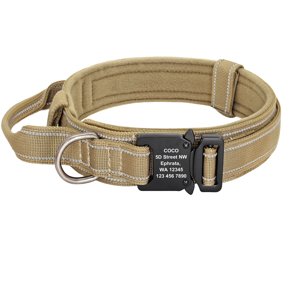 Reflective nylon dog collar detail