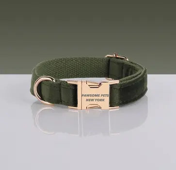 Pawsome adjustable dog collar