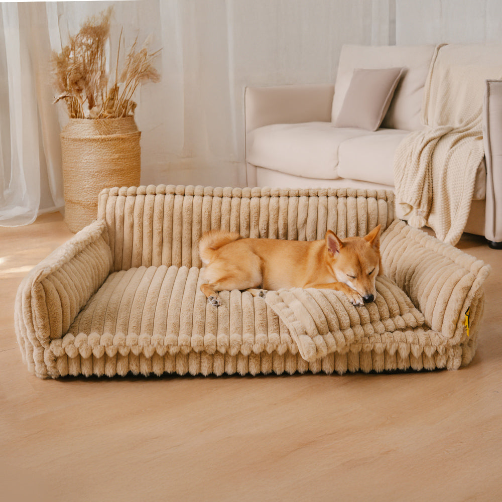 Orthopedic Pet Bed