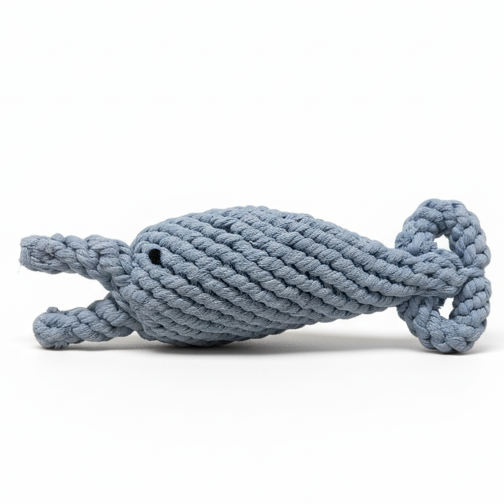Dolphin rope dog toy on white background
